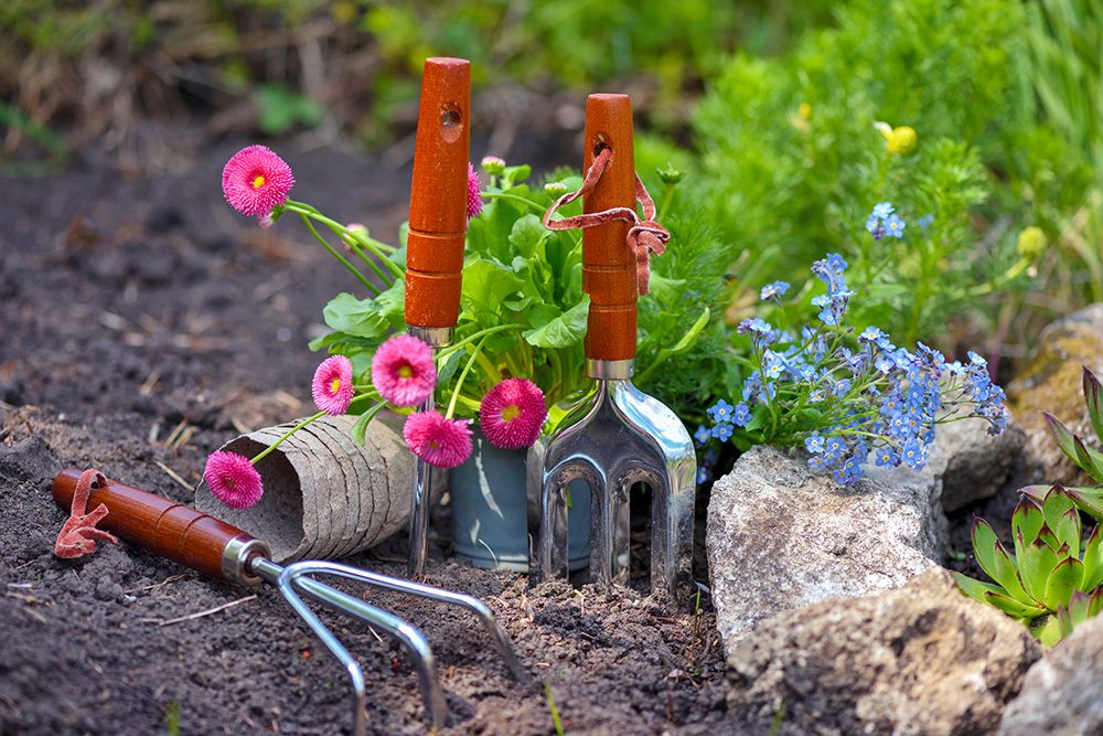 Gardening tools and spring flowers in the garden. Gardening concept.